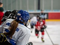 DSC03309-1250