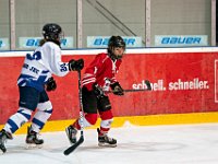 DSC04263-1250
