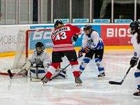 DSC04390-1250