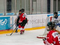 DSC04588-1250