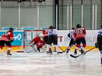 DSC04664-1250