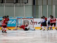 DSC04668-1250