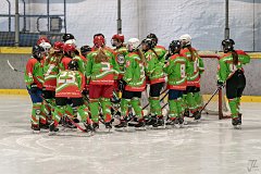 DSC08038-1000
