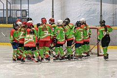 DSC08039-1000