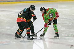 DSC08040-1000