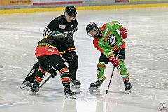 DSC08042-1000