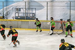 DSC08045-1000