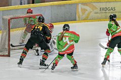 DSC08050-1000