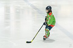 DSC08051-1000