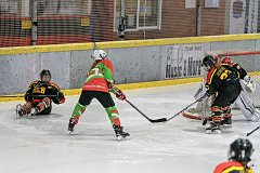 DSC08054-1000