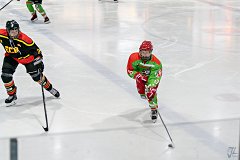 DSC08058-1000