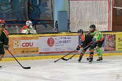 DSC08064-1000