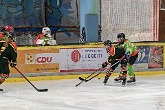 DSC08065-1000