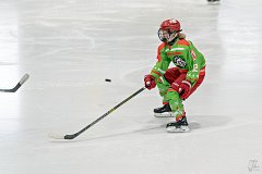 DSC08069-1000