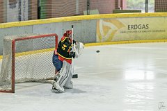 DSC08072-1000