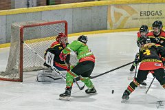 DSC08075-1000
