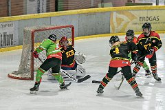 DSC08077-1000