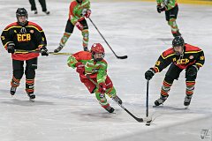 DSC08078-1000