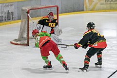 DSC08081-1000