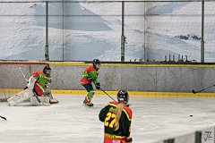 DSC08088-1000