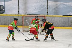DSC08093-1000