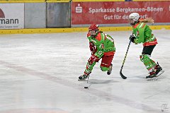 DSC08097-1000