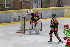 DSC08098-1000