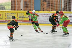 DSC08101-1000