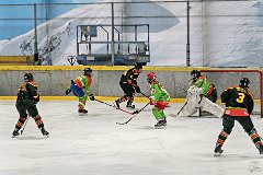 DSC08104-1000