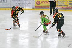 DSC08109-1000