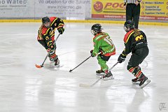 DSC08110-1000