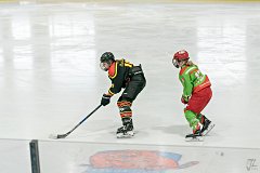 DSC08115-1000