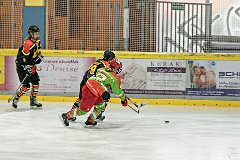 DSC08118-1000