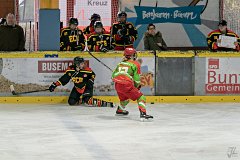 DSC08123-1000