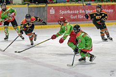 DSC08125-1000
