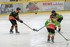 DSC08132-1000