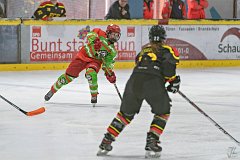 DSC08142-1000