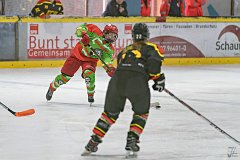 DSC08143-1000