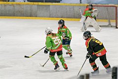 DSC08151-1000