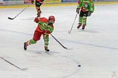 DSC08158-1000
