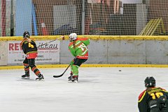 DSC08163-1000