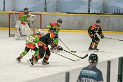 DSC08174-1000