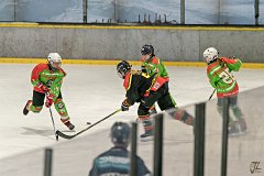 DSC08176-1000