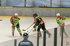 DSC08178-1000