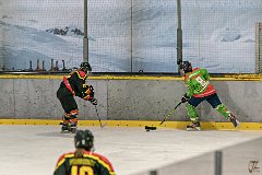 DSC08181-1000