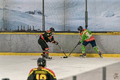 DSC08182-1000