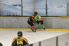 DSC08184-1000