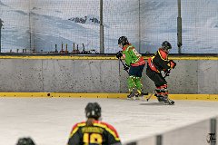 DSC08186-1000