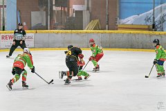 DSC08191-1000