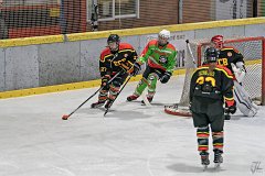 DSC08196-1000